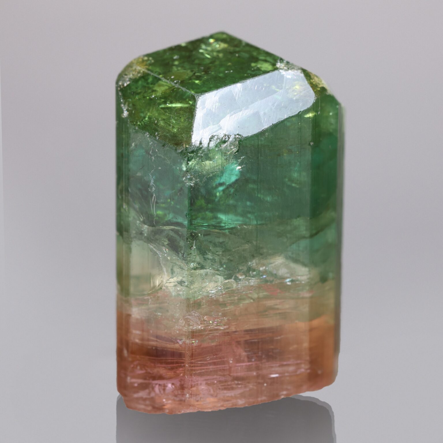 Elbaite Tourmaline: Rubaya District, North Kivu Province, DR Congo ...