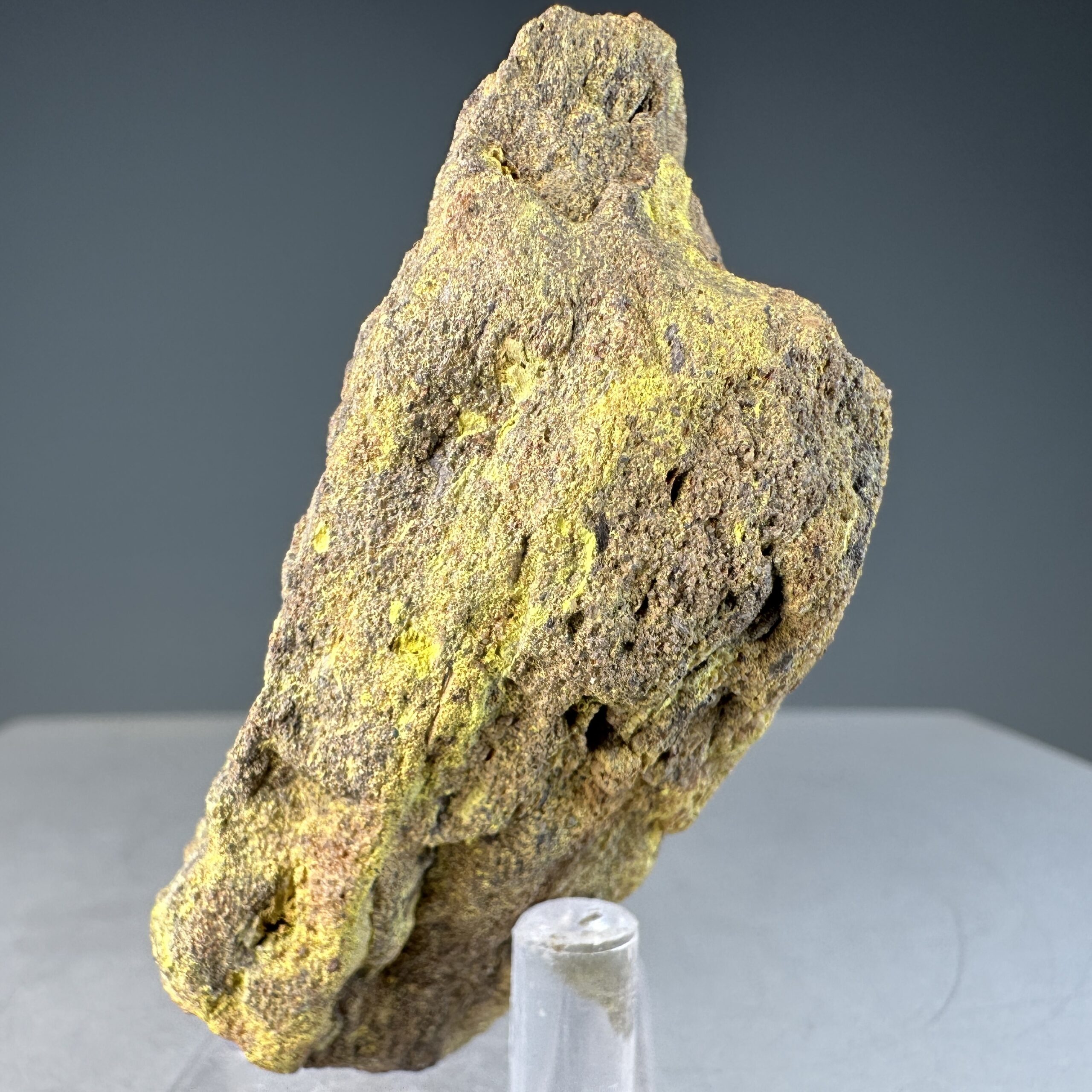 IMG_2718