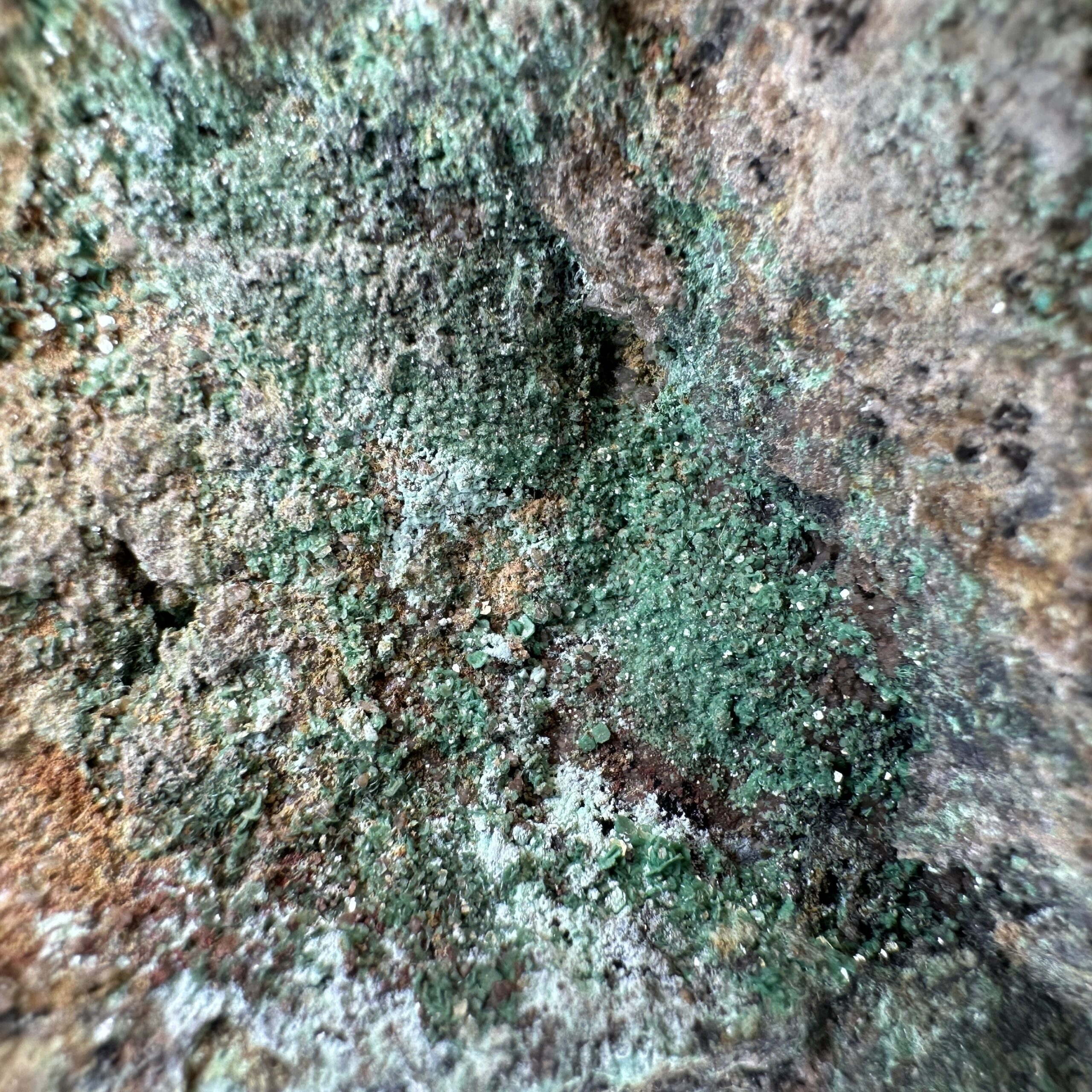 Zeunerite: Zálesí uranium deposit, Zálesí, Javorník, Jeseník