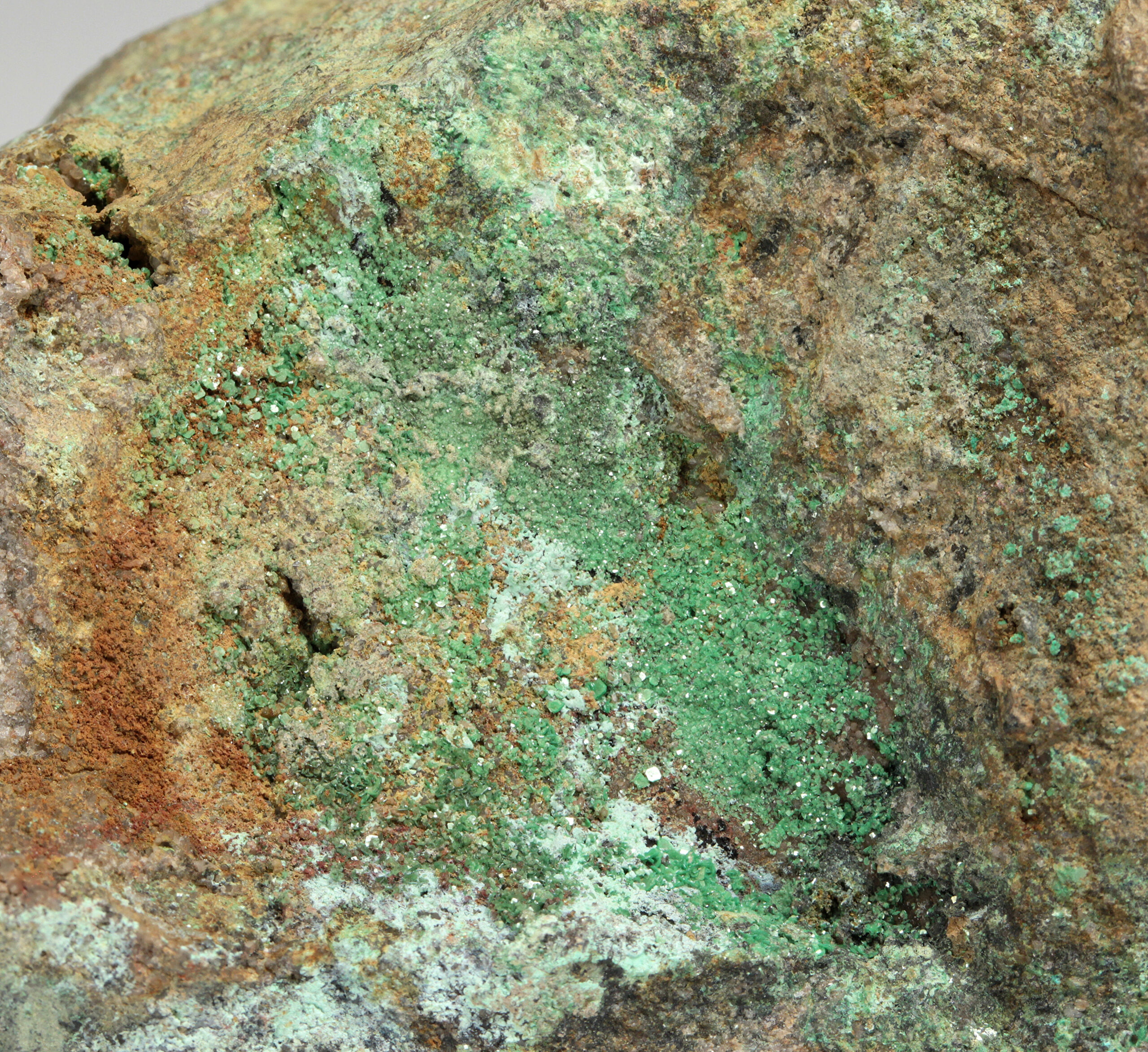 uranium7　1806060 Zeunerite: Zálesí uranium deposit, Zálesí, Javorník, Jeseník