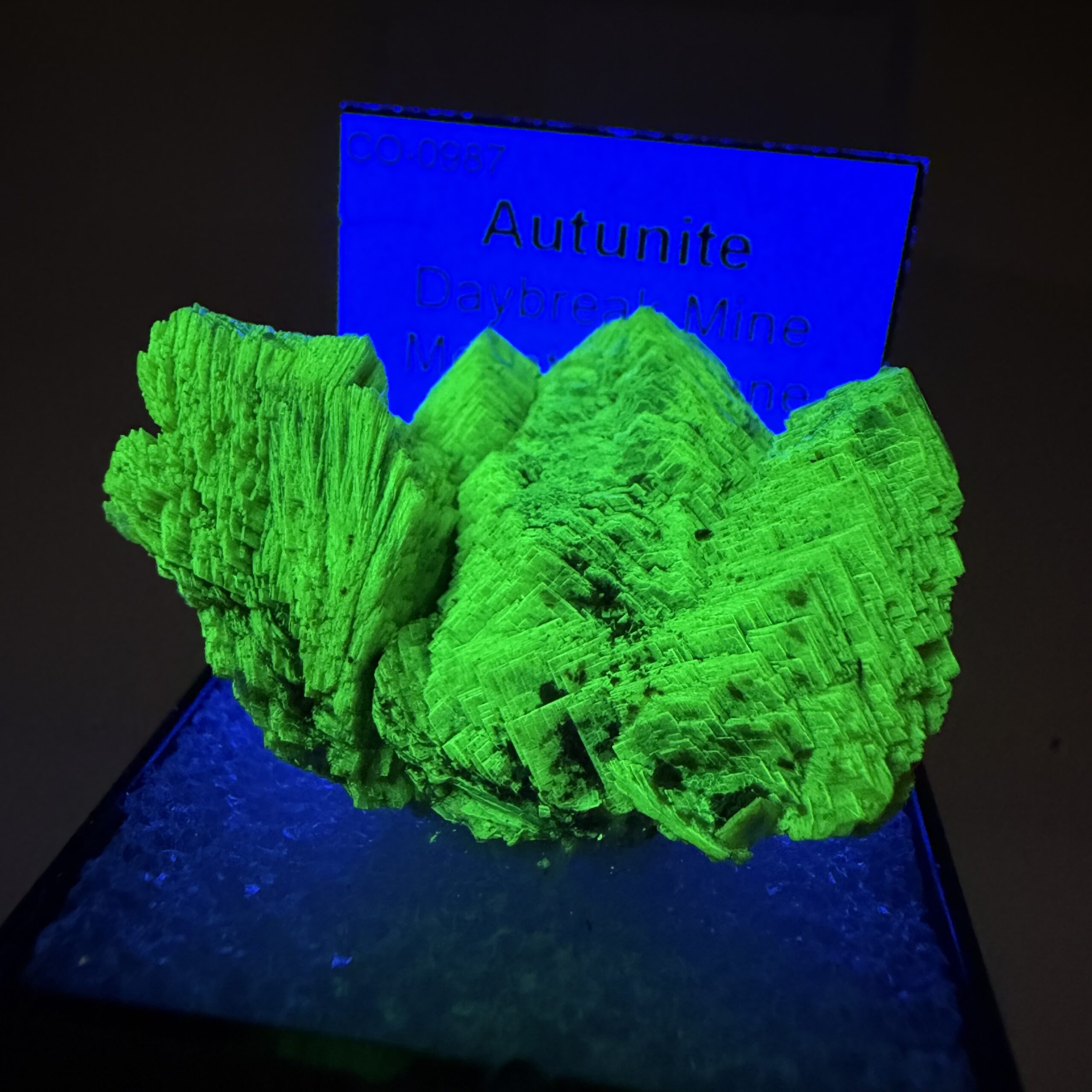 Autunite: Daybreak Mine, Mount Kit Carson, Spokane County