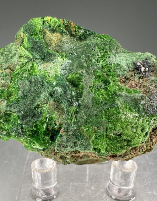 Torbernite, Cuprosklodowskite
