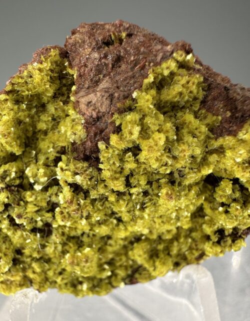 Autunite