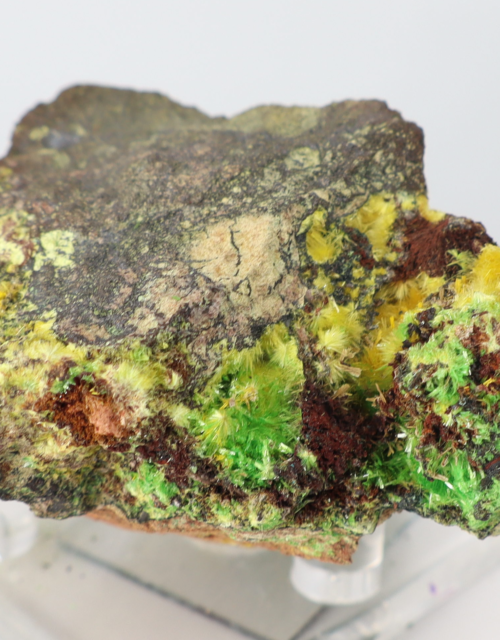 Uranophane, Rutherfordine, Schoepite