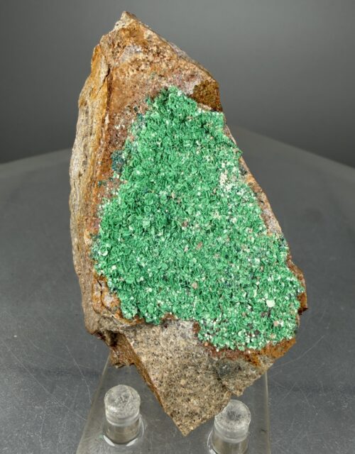 Metatorbernite