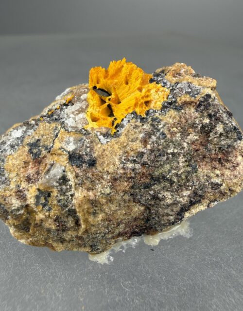Boltwoodite