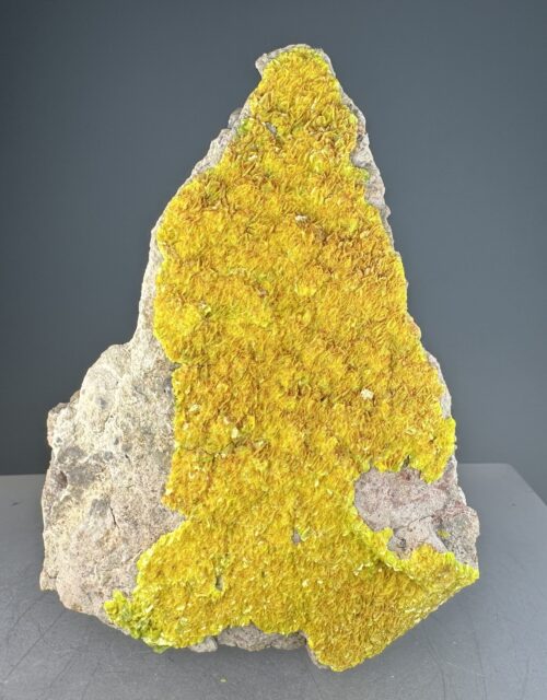 Autunite
