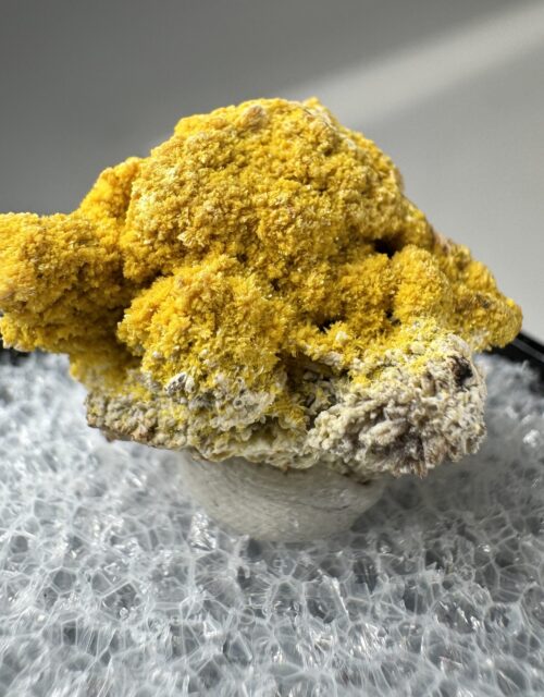 Parsonsite