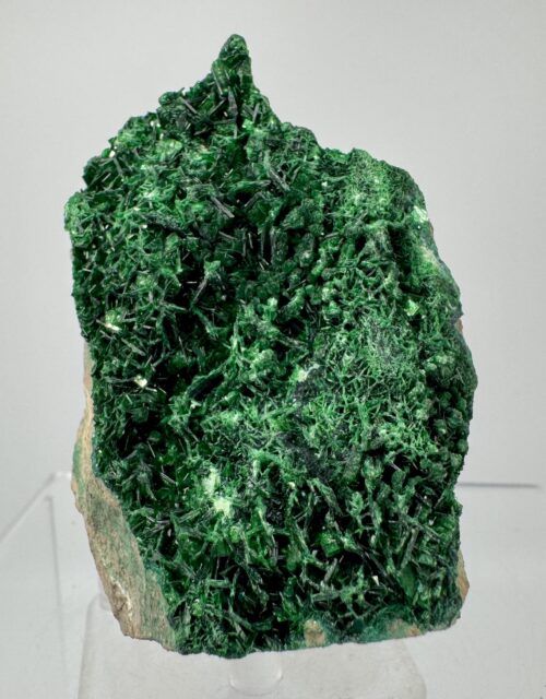 Metatorbernite