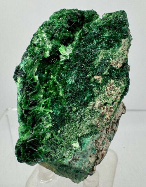 Metatorbernite
