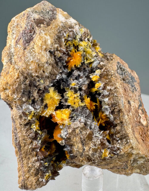 Boltwoodite