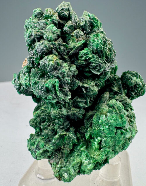 Metatorbernite