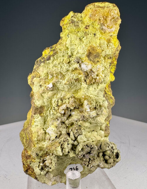 Carnotite