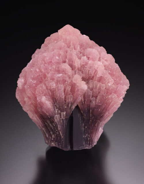 Elbaite Tourmaline "Mushroom"