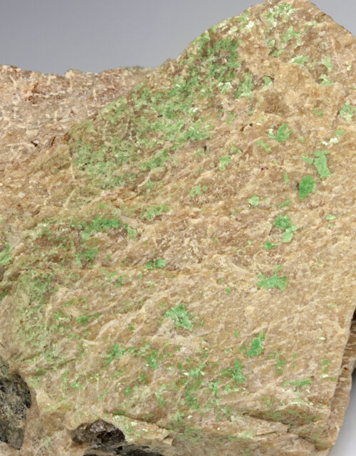 Metatorbernite
