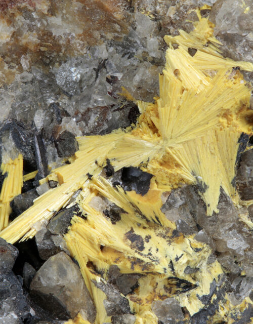 Boltwoodite