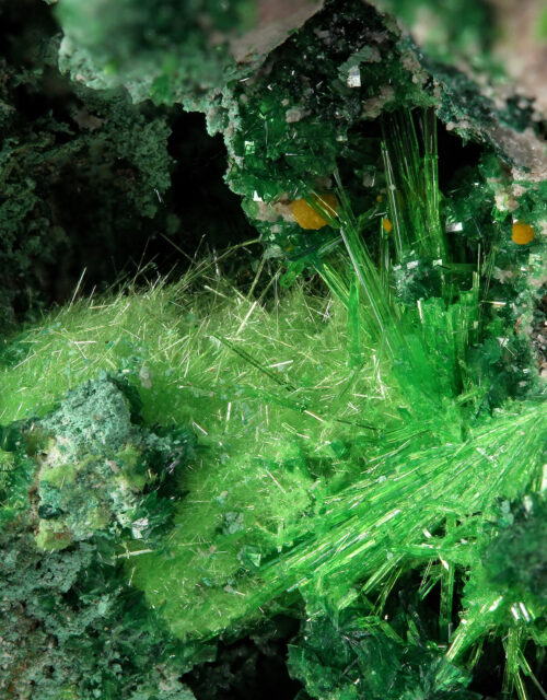 Cuprosklodowskite, Metatorbernite