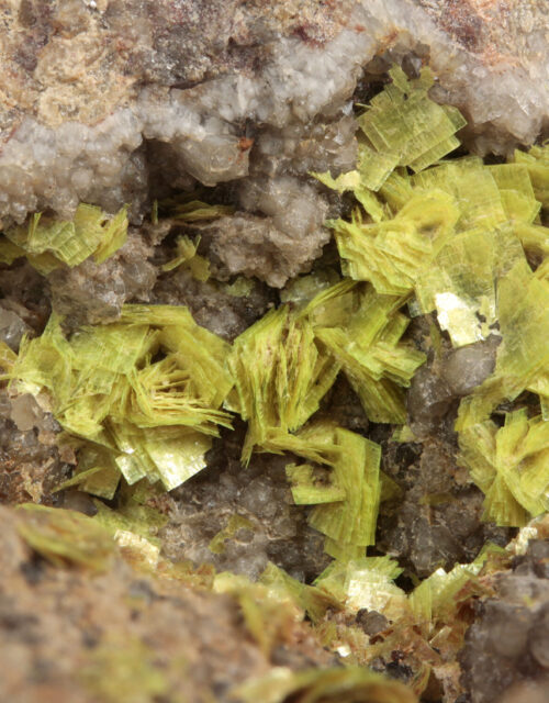 Uranocircite