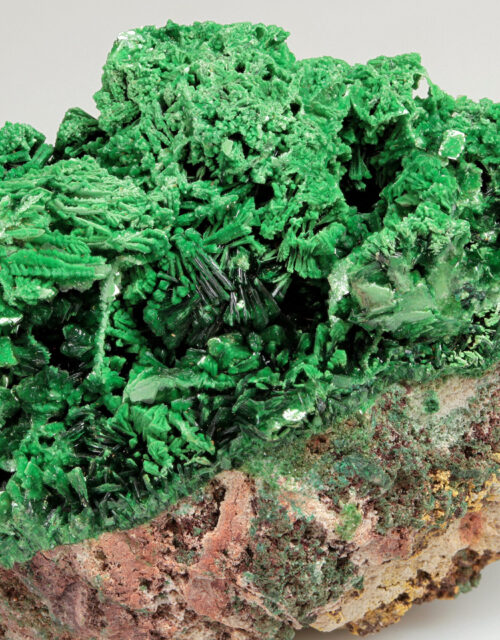 Metatorbernite