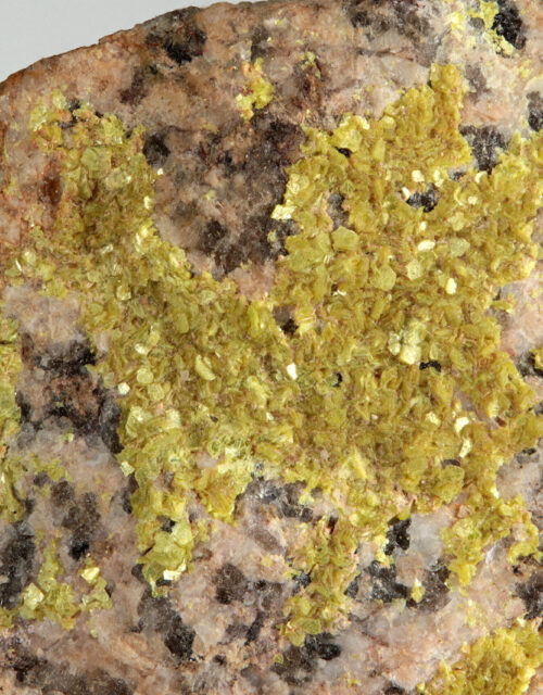 Meta-Autunite