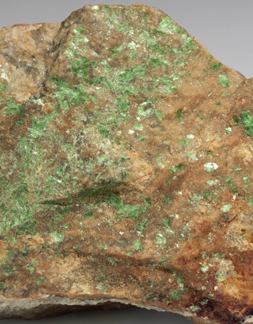 Metatorbernite