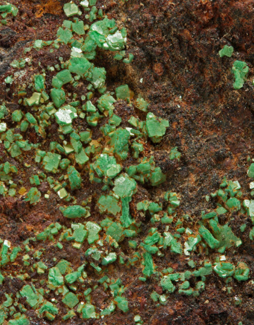Torbernite