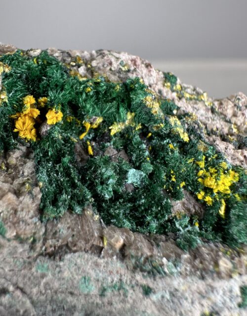 Tyuyamunite, Malachite