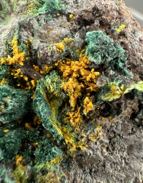 Metatyuyamunite, Carnotite, Malachite