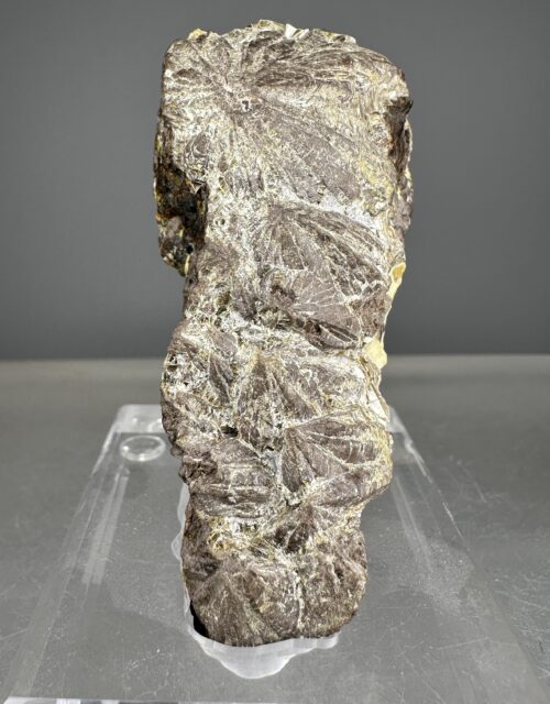Zircon var. Cyrtolite, Uraninite
