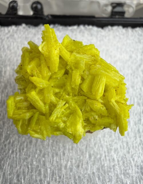Autunite