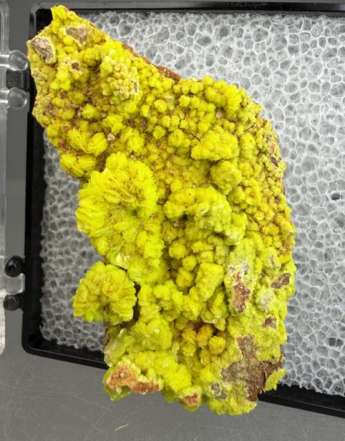 Autunite