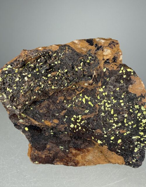 Metauranocircite